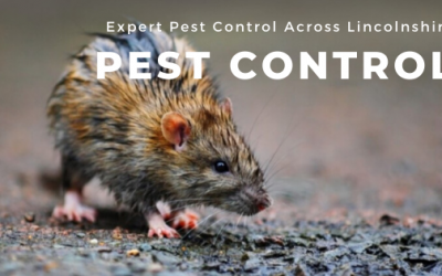 PEST CONTROL ACROSS LINCOLNSHIRE
